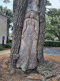 Spirit Face Carved on Trees,