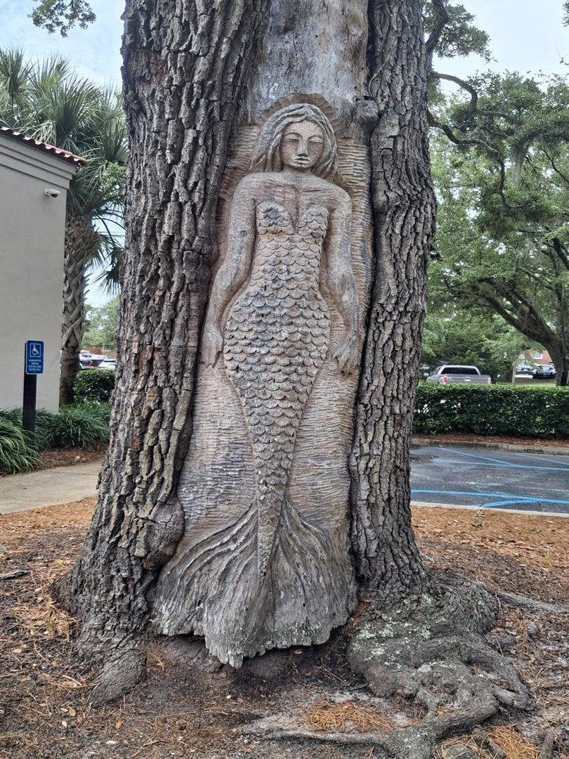 Spirit Face Carved on Trees,
