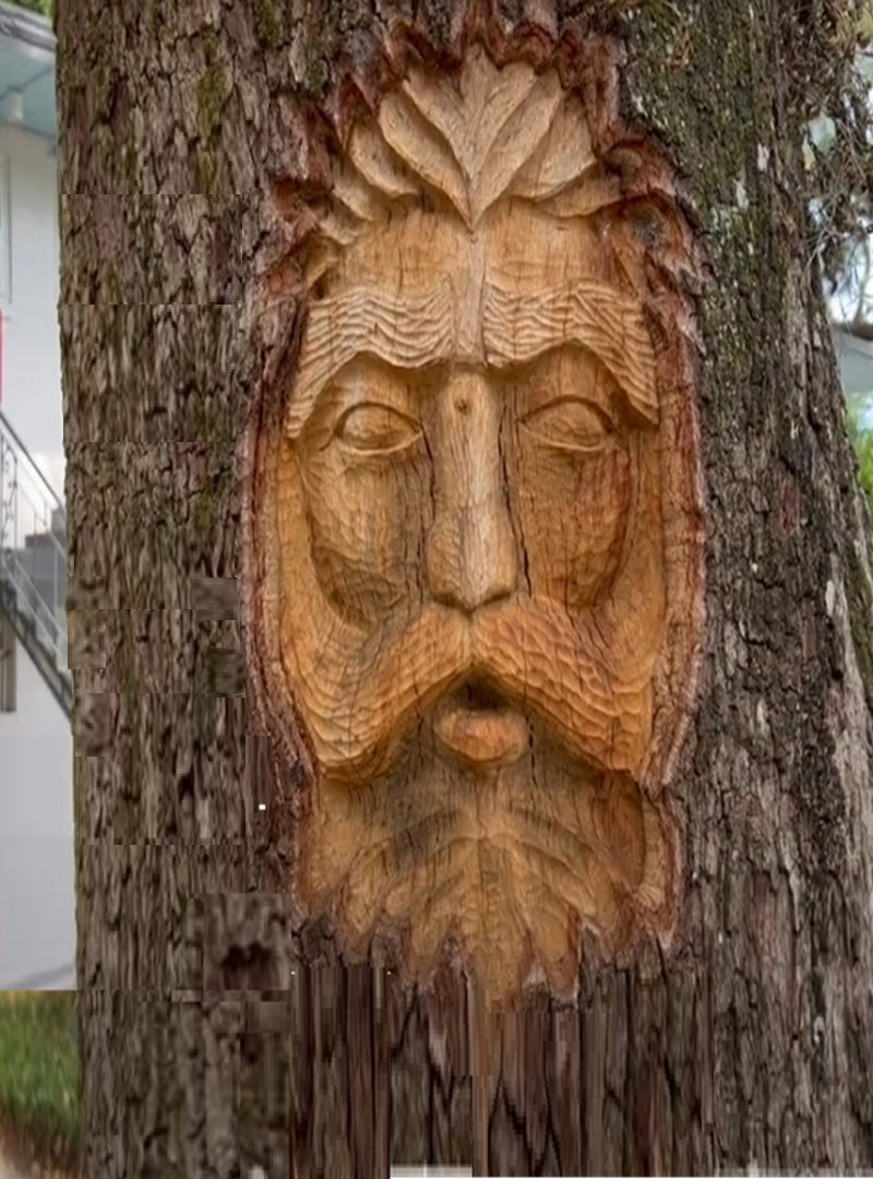 Spirit Face Carved on Trees,