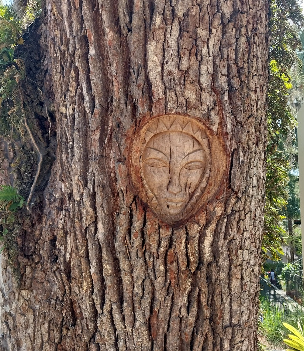 Spirit Face Carved on Trees,