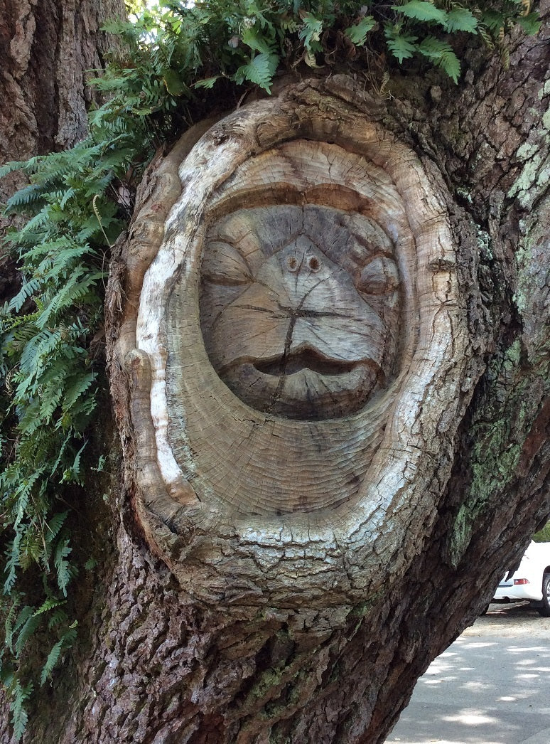 Spirit Face Carved on Trees,