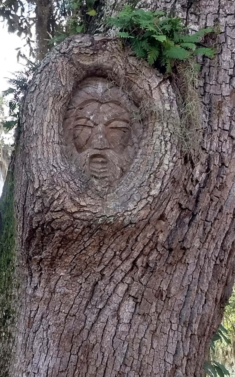 Spirit Face Carved on Trees,