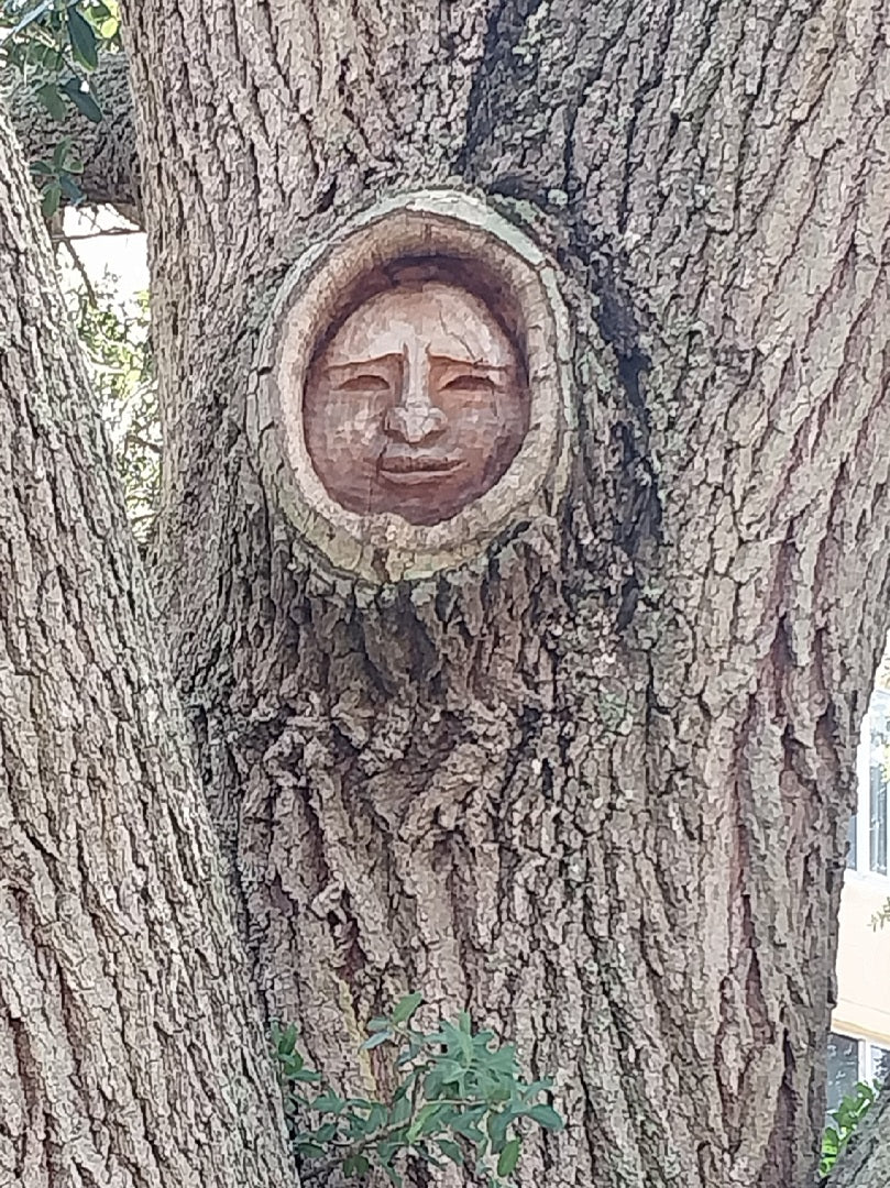 Spirit Face Carved on Trees,