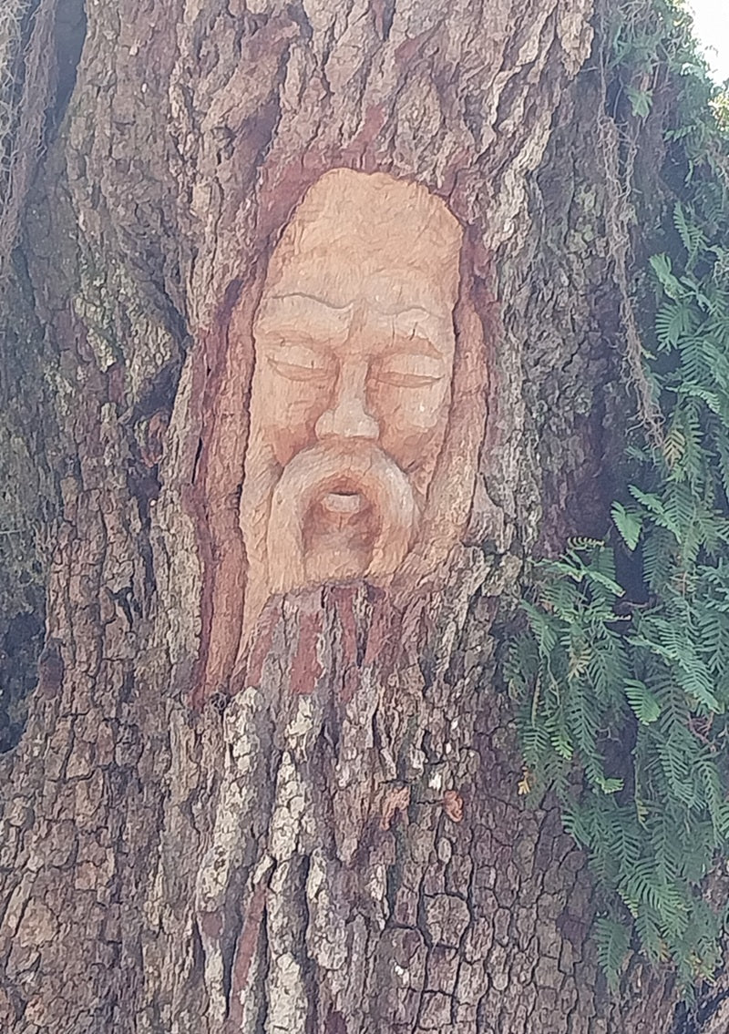 Spirit Face Carved on Trees,