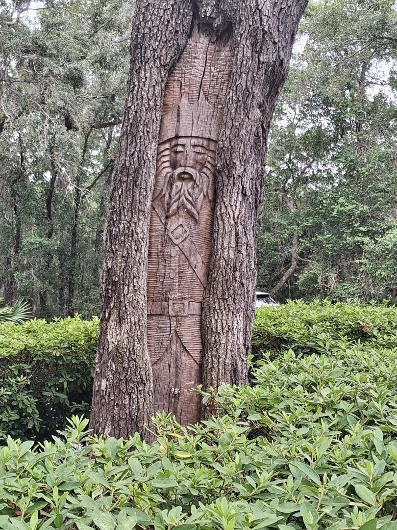 Spirit Face Carved on Trees,