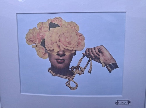 Art Collection