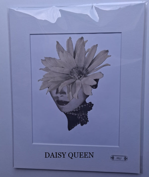 Art Collection