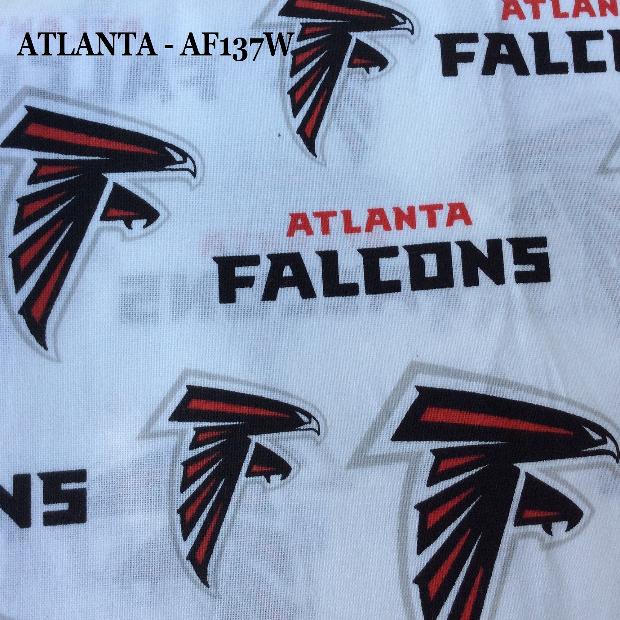 Trash Can Covers - Sport Teams (Ea - Pa)