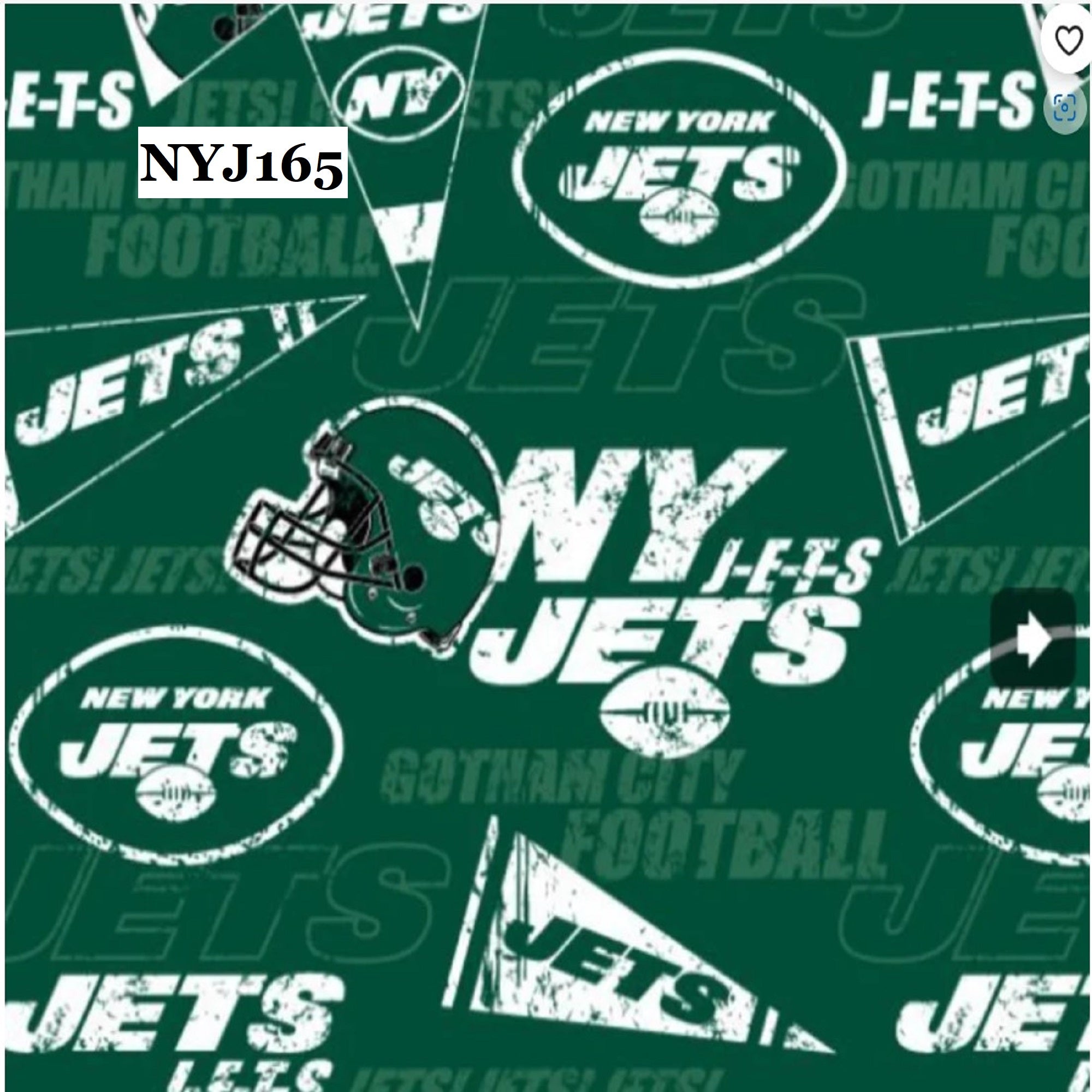 Trash Can Covers - Sport Teams (Ea - Pa)