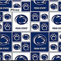 Trash Can Covers - Sport Teams (Pe - Y)